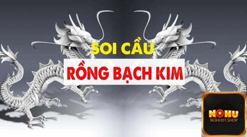 soi-cau-rong-bach-kim