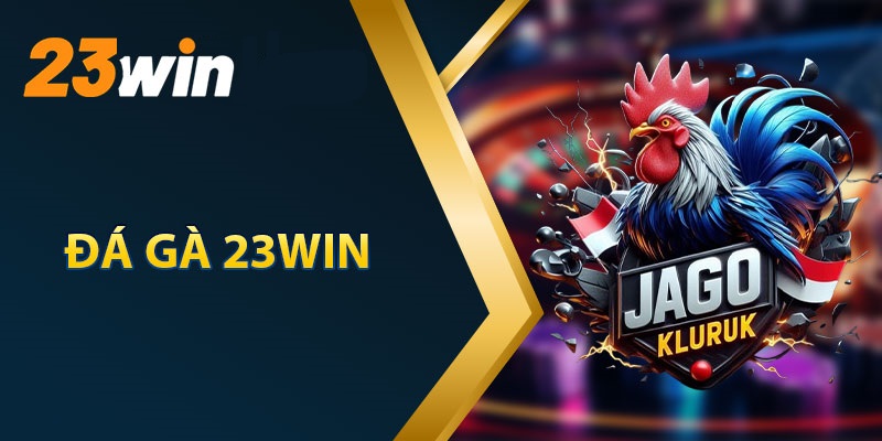Đá Gà 23WIN Chuyên Nghiệp
